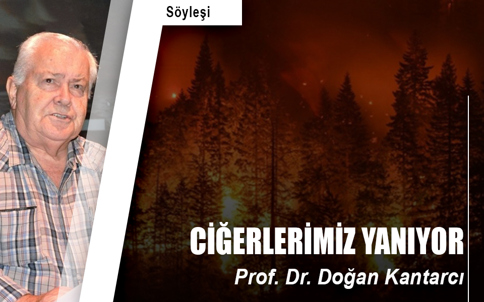 Ciğerlerimiz Yanıyor